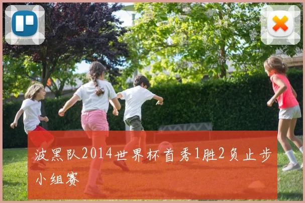波黑队2014世界杯首秀1胜2负止步小组赛