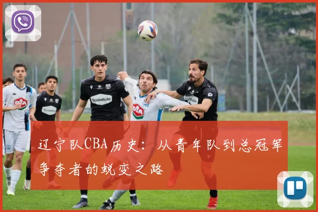 辽宁队CBA历史：从青年队到总冠军争夺者的蜕变之路