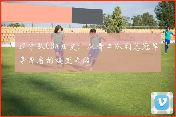 辽宁队CBA历史：从青年队到总冠军争夺者的蜕变之路