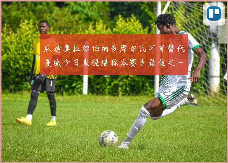 瓜迪奥拉称伯纳多席尔瓦不可替代曼城今日表现堪称本赛季最佳之一