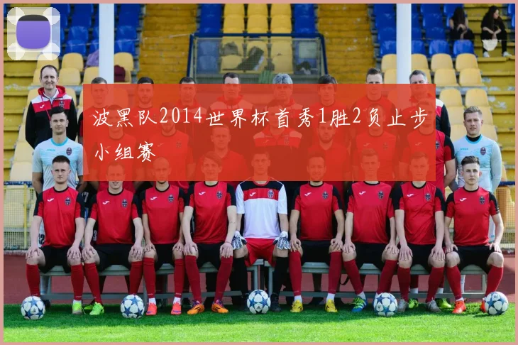 波黑队2014世界杯首秀1胜2负止步小组赛